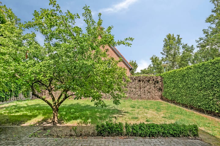 Foto 30 van Laan van Echternach 34