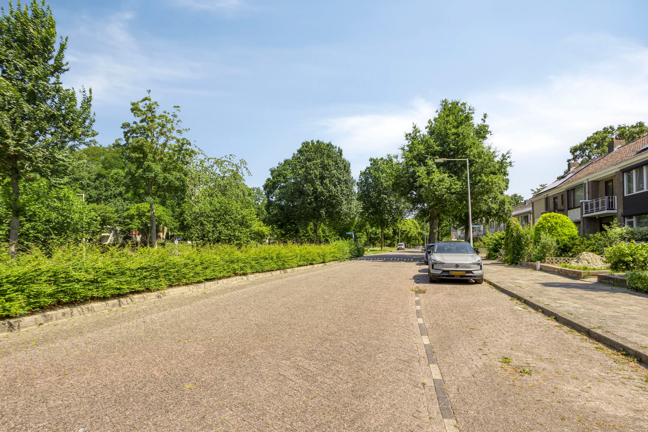 Foto 30 van Scheldelaan 45