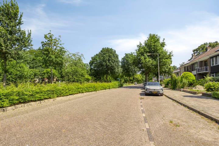 Foto 30 van Scheldelaan 45