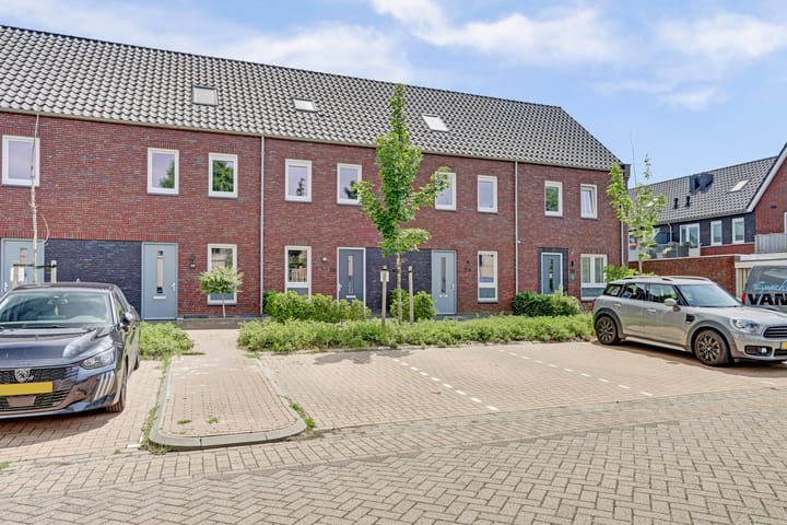 undefined main image