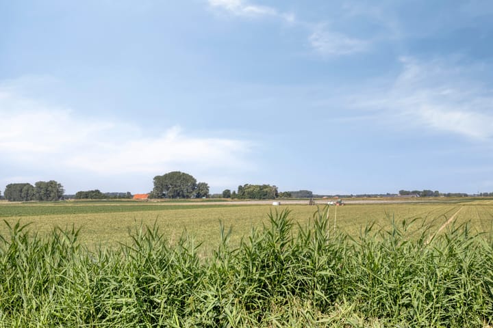 Foto 3 van Koeveringsedijk 12