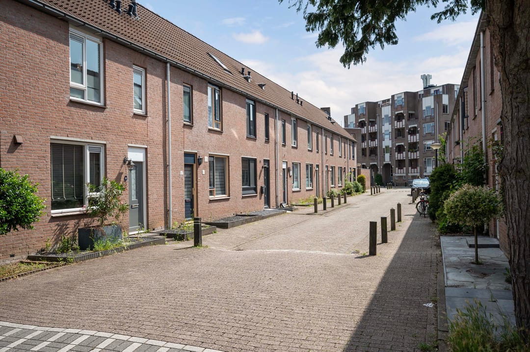 Foto 28 van De Violieren 63