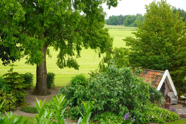Foto 5 van Broekdijk 17
