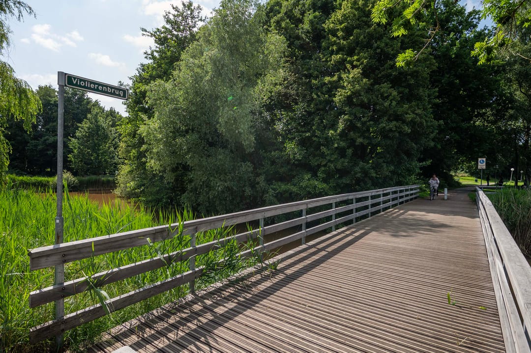 Foto 31 van De Violieren 63