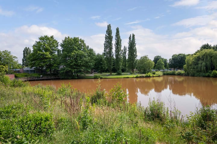 Foto 32 van De Violieren 63