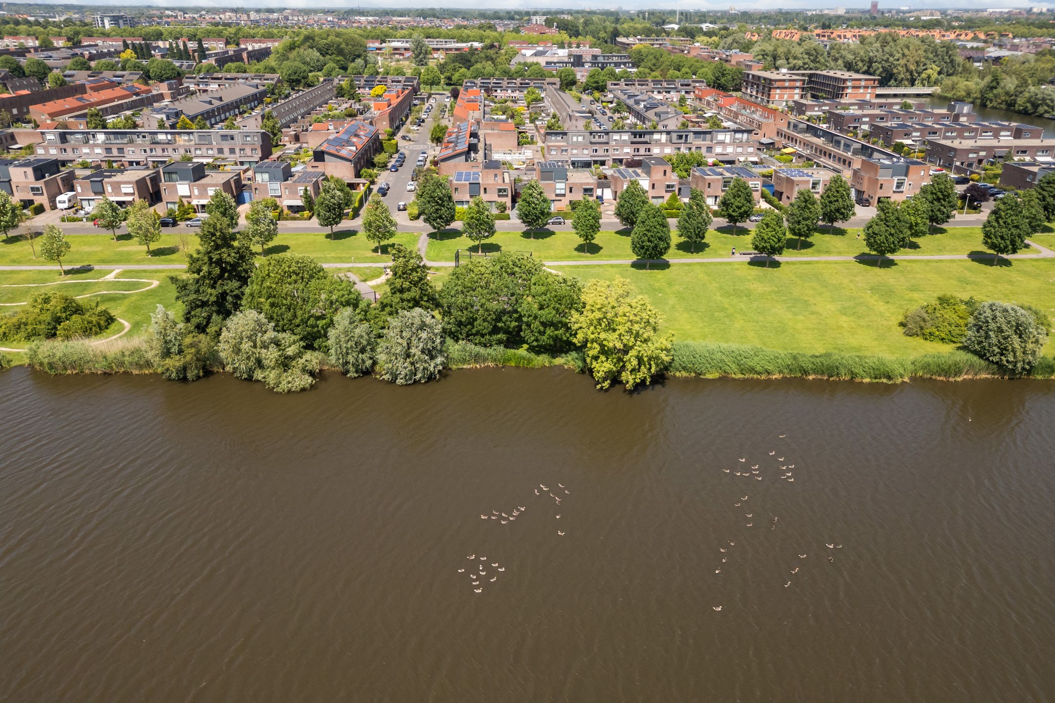 Foto 33 van Zevenblad 16