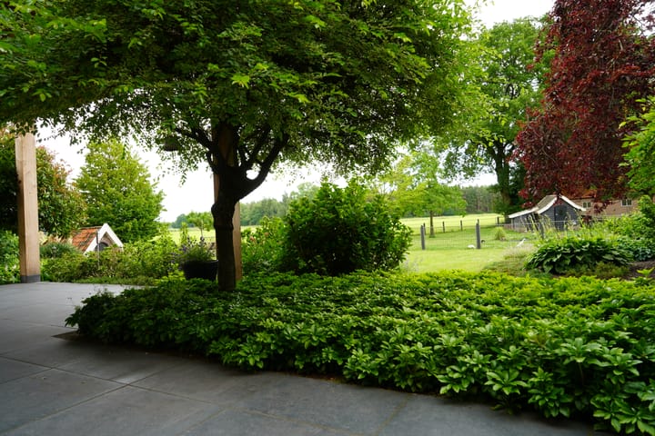 Foto 48 van Broekdijk 17