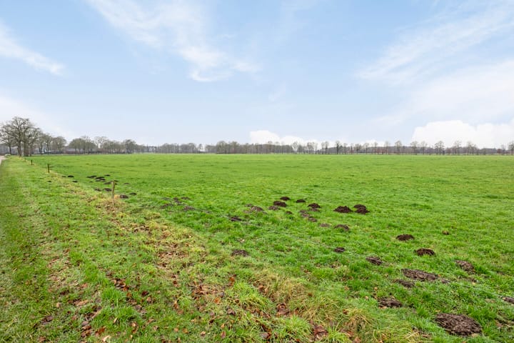 Foto 55 van Broekdijk 17