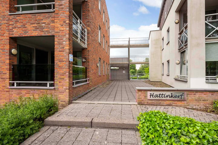 Photo 31 of Hattinkerf 22