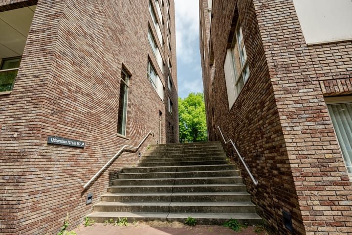 Foto 6 van IJdoornlaan 827