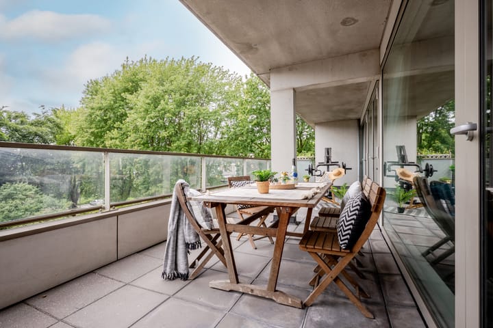 Foto 34 van IJdoornlaan 827