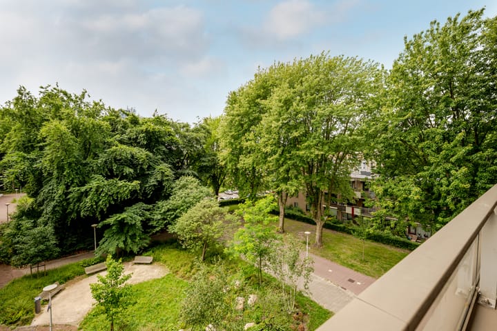 Foto 37 van IJdoornlaan 827