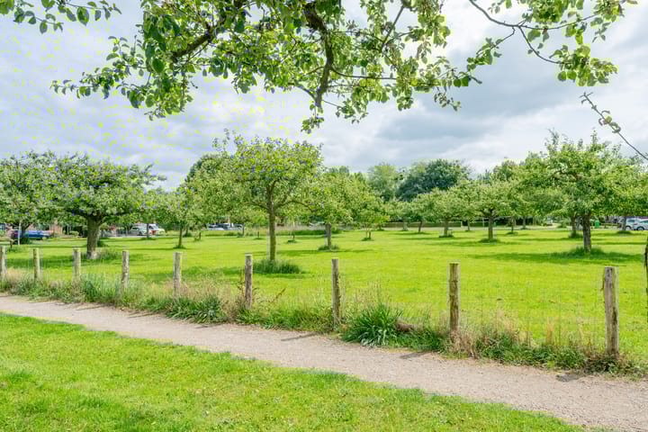 Photo 55 of Hop-oord 2