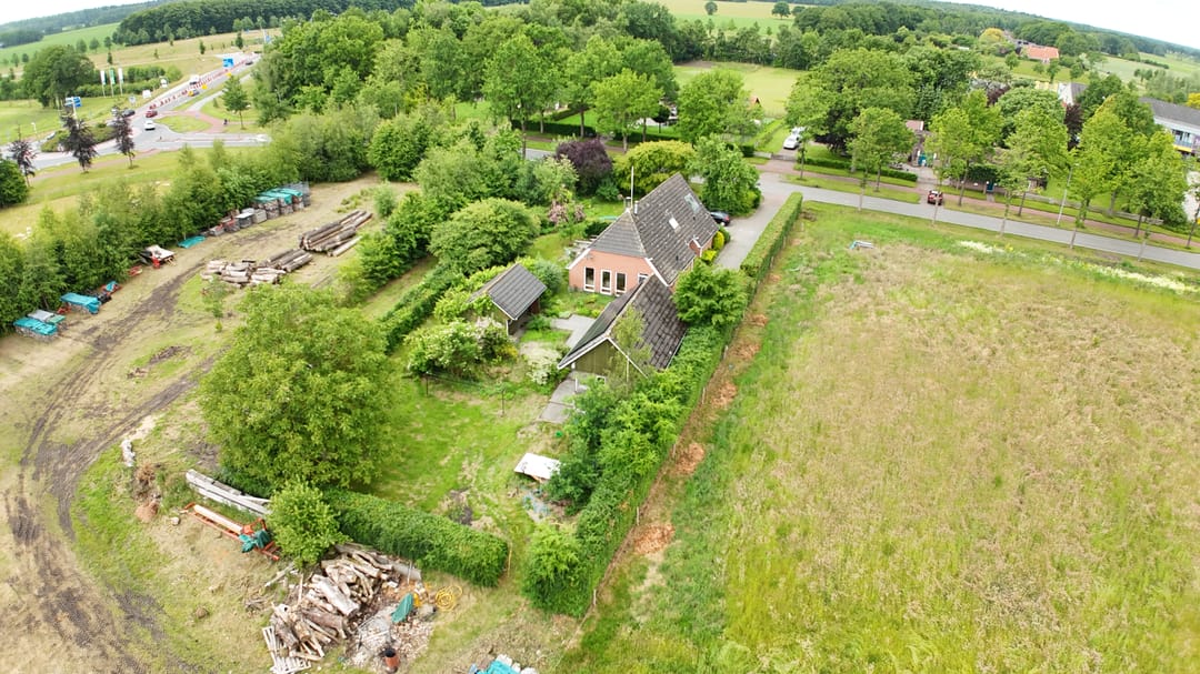 Photo 8 of Oelenboom 7