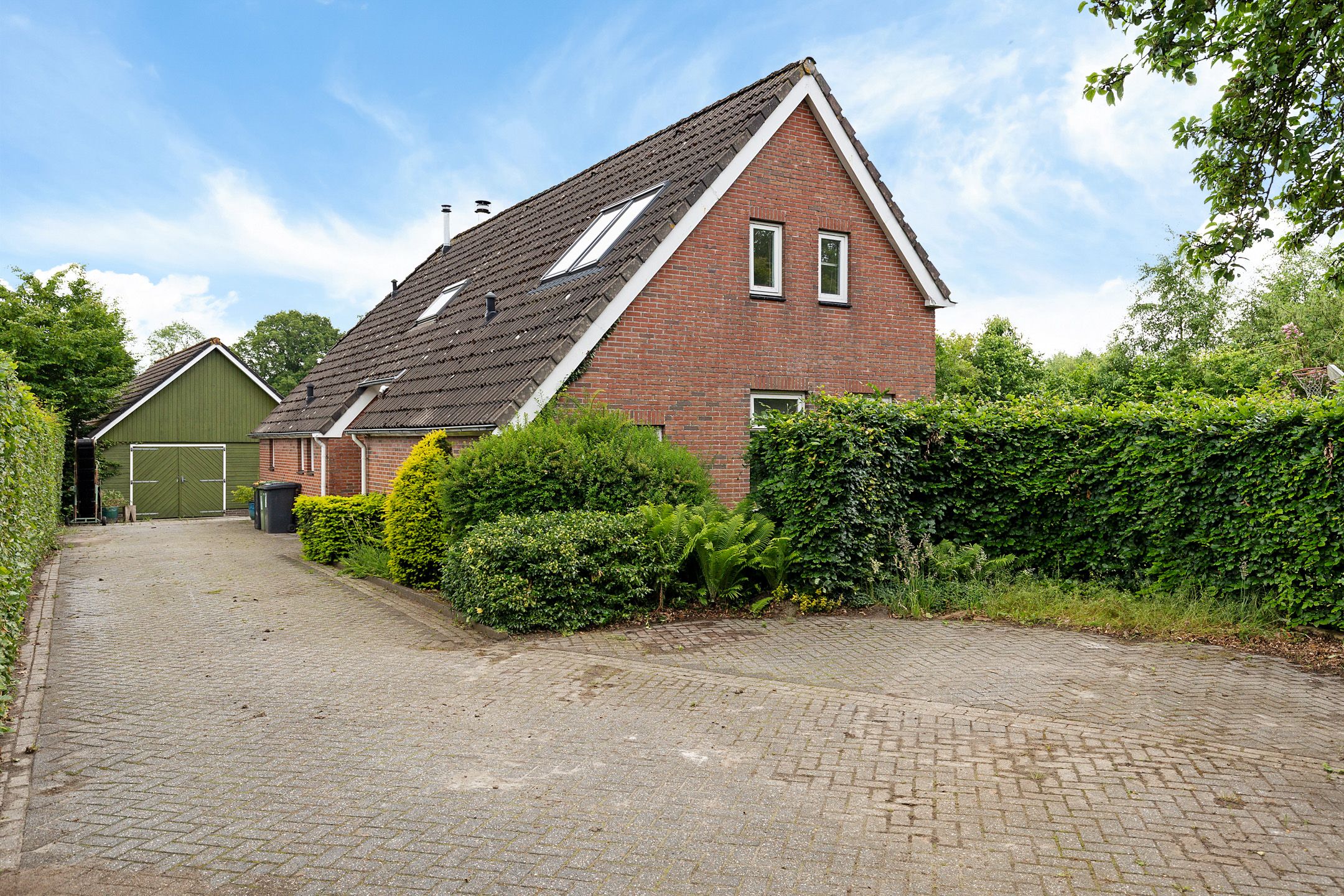 Photo 9 of Oelenboom 7