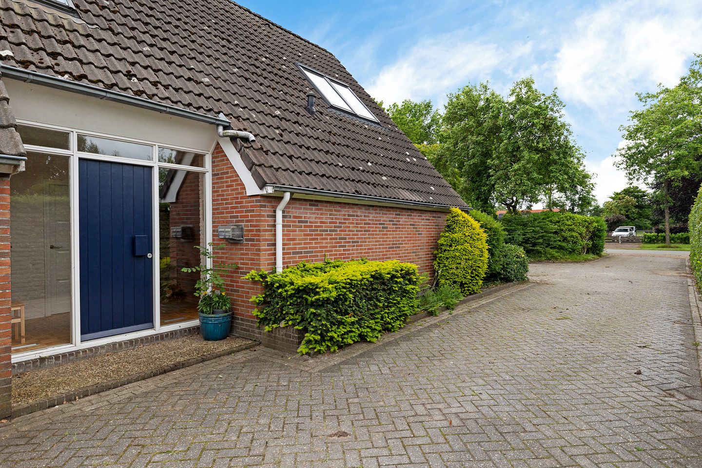 Photo 10 of Oelenboom 7