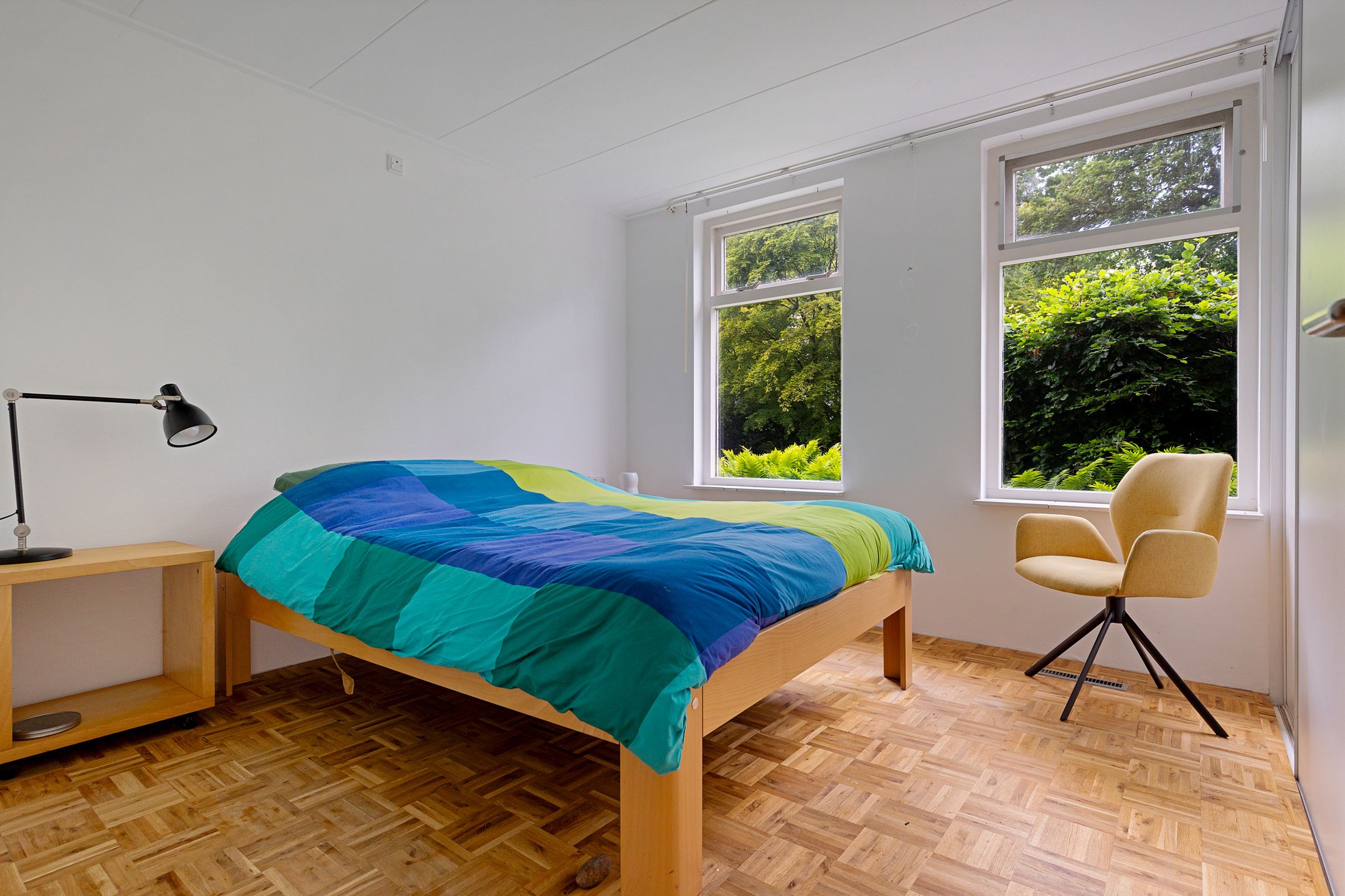 Photo 27 of Oelenboom 7