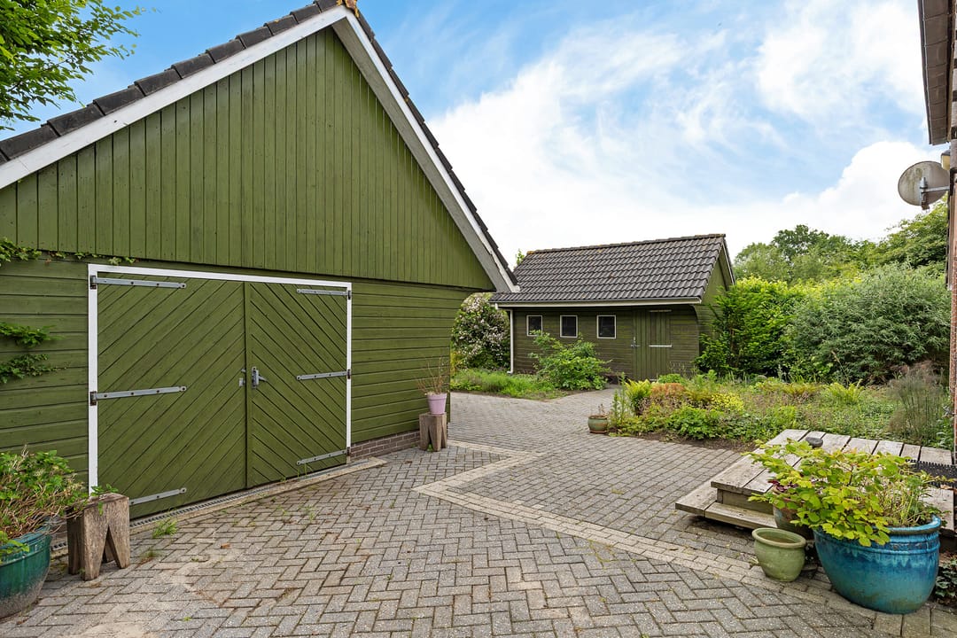 Photo 37 of Oelenboom 7