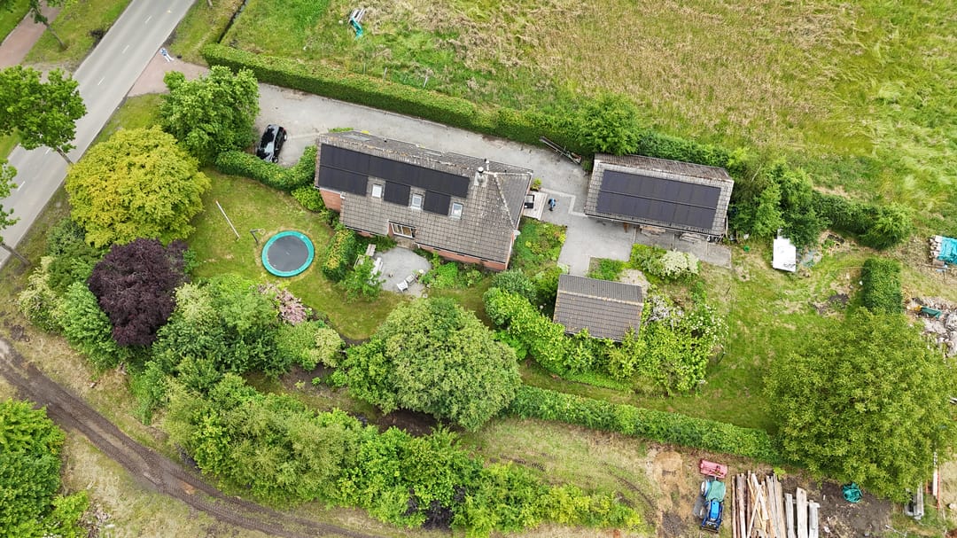 Photo 38 of Oelenboom 7