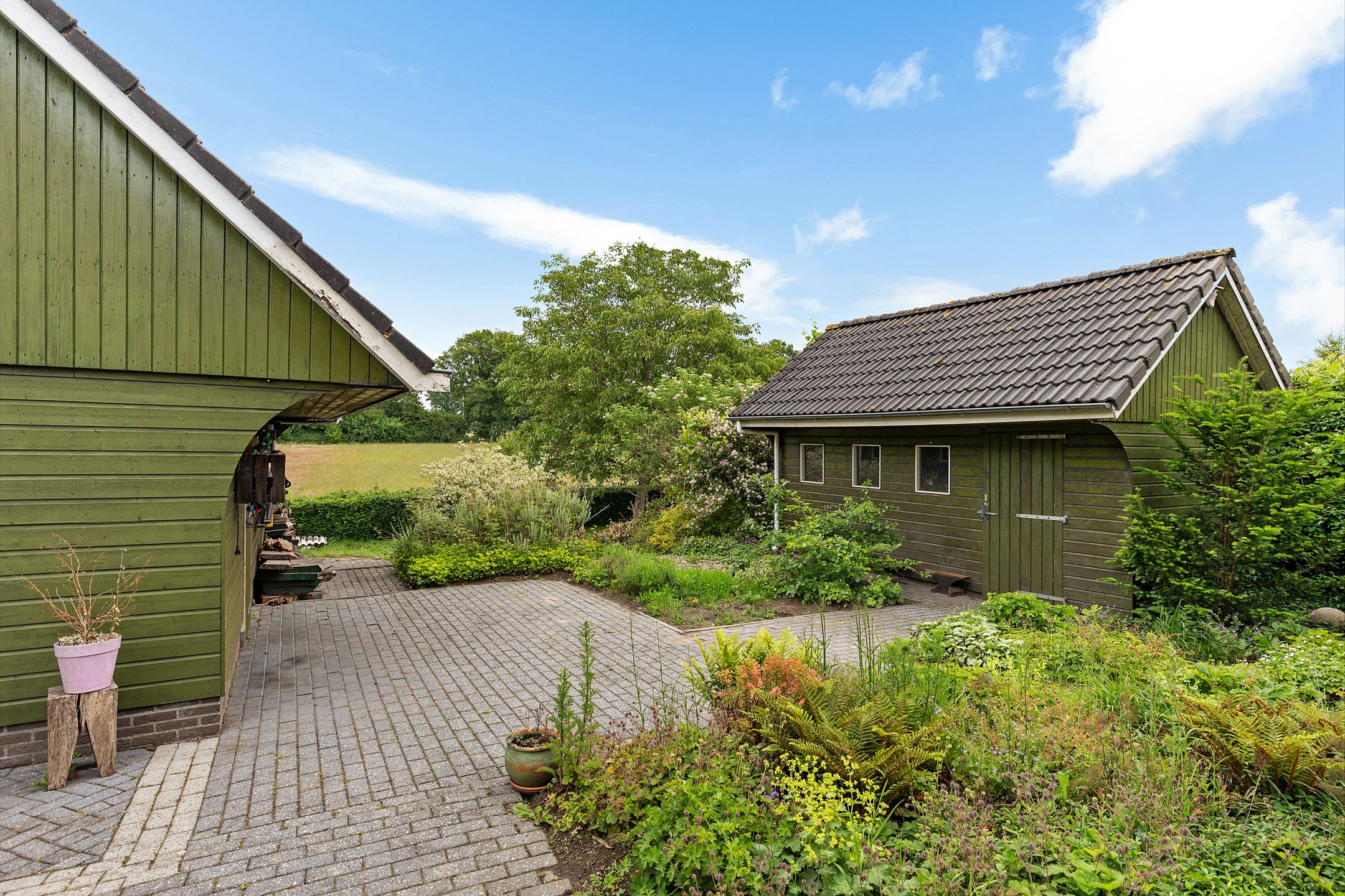 Photo 39 of Oelenboom 7