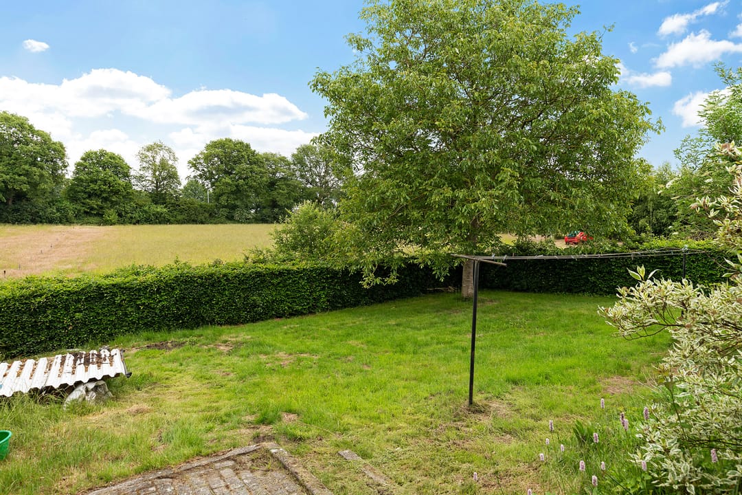 Photo 41 of Oelenboom 7