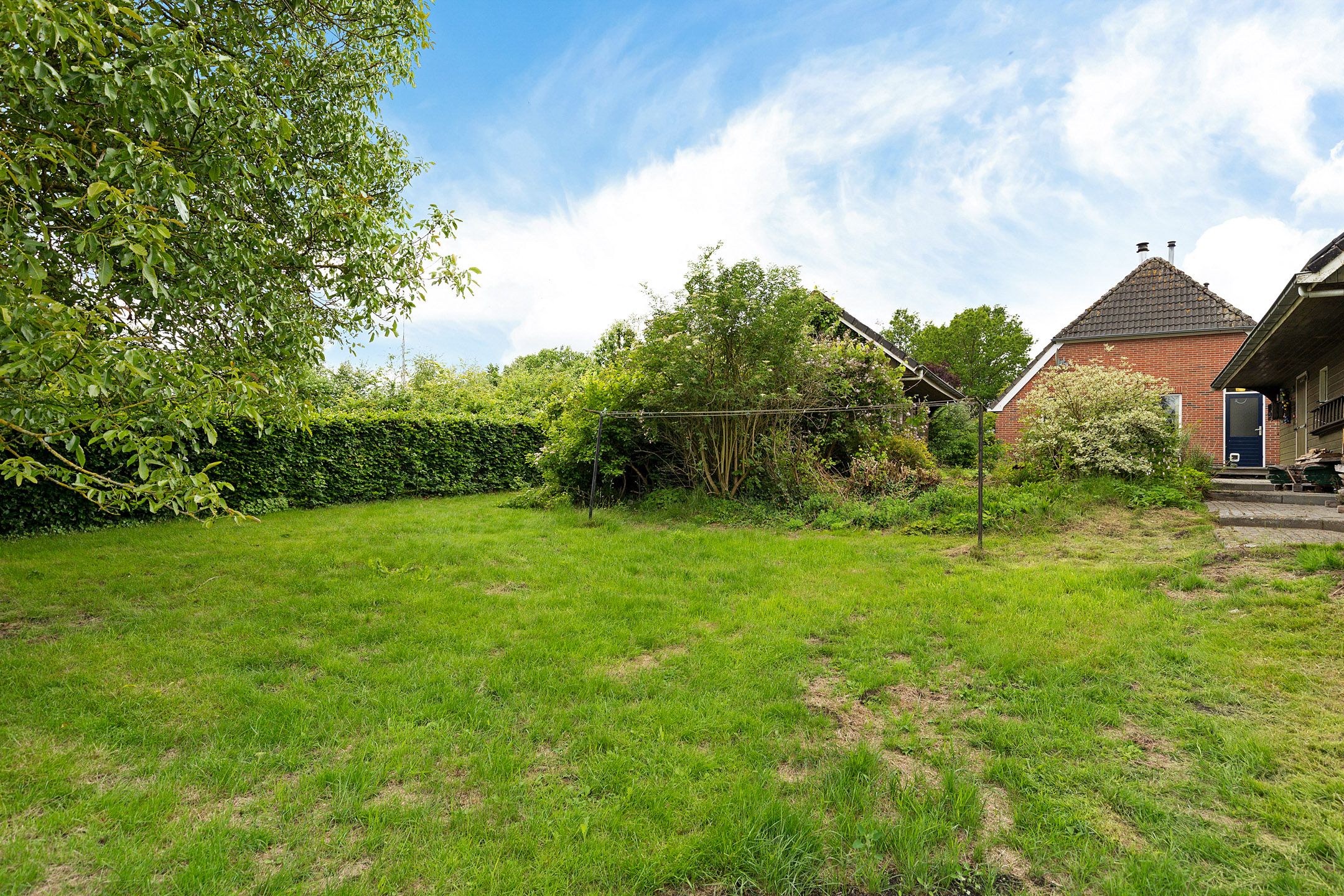 Photo 42 of Oelenboom 7