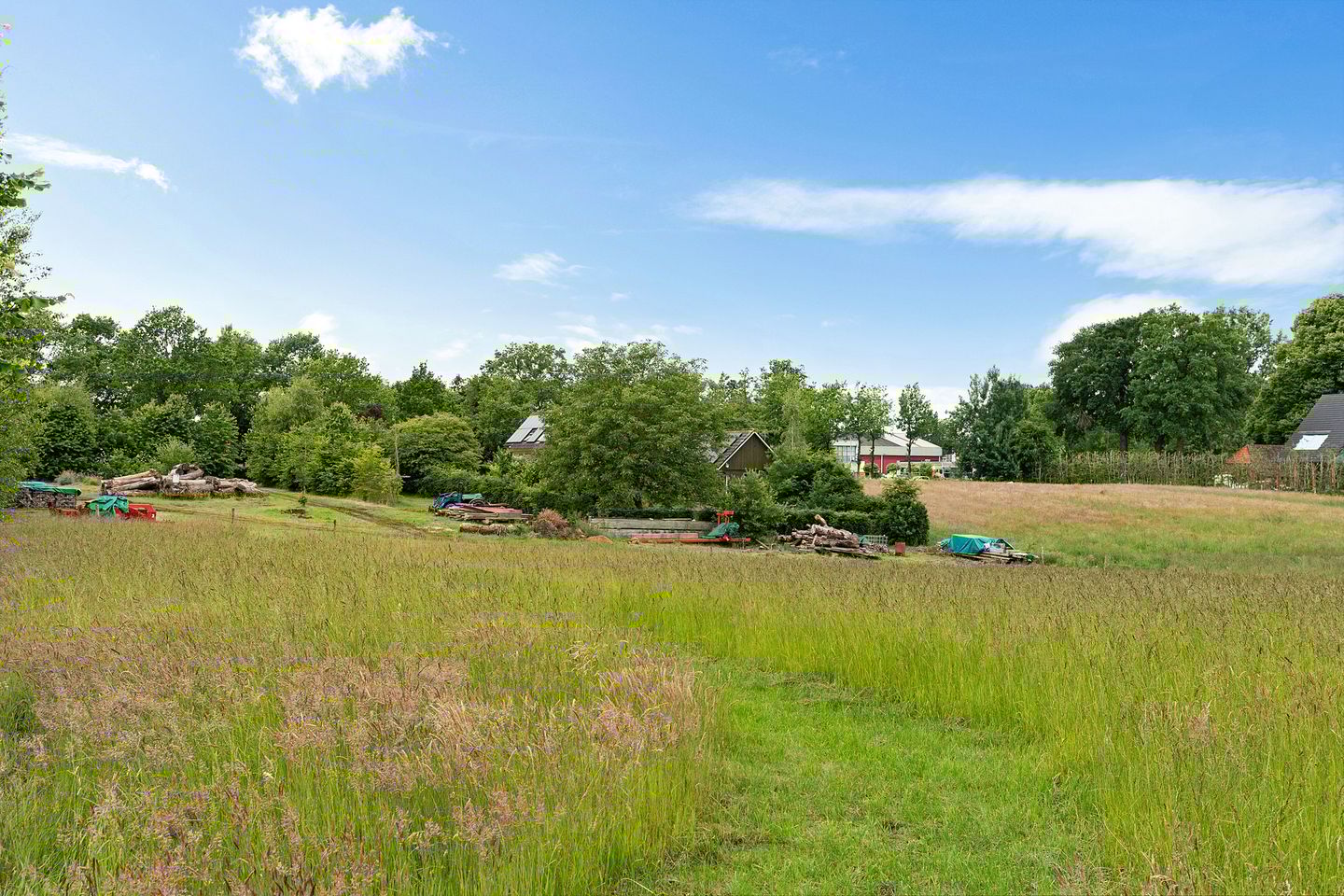 Photo 44 of Oelenboom 7