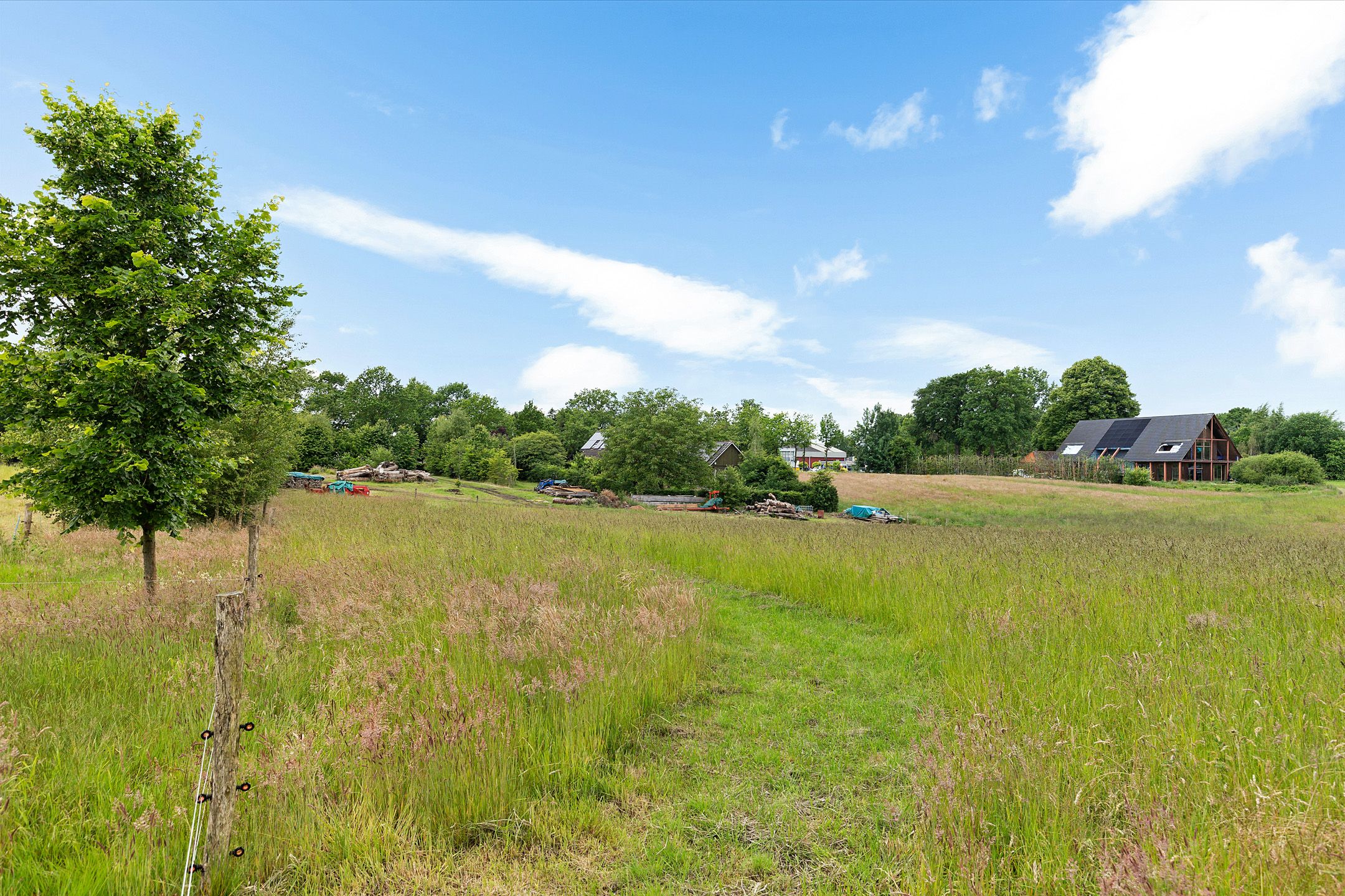 Photo 45 of Oelenboom 7