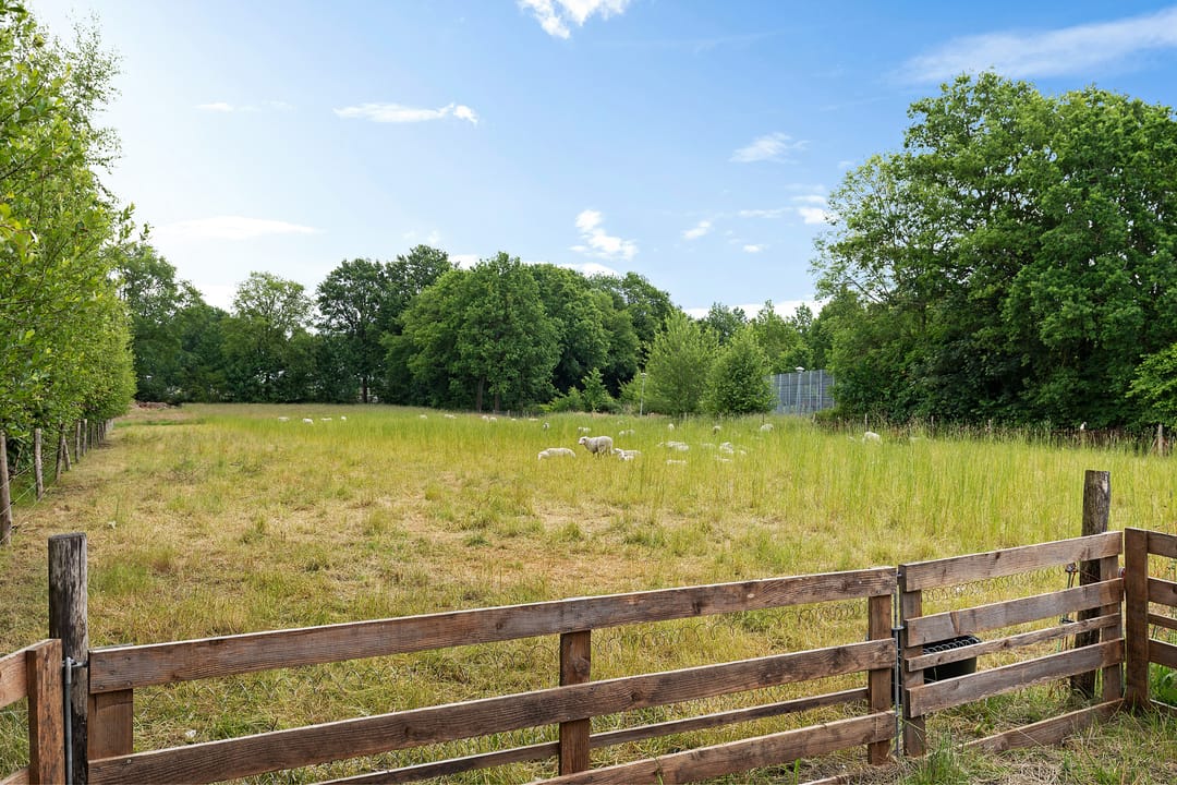 Photo 46 of Oelenboom 7