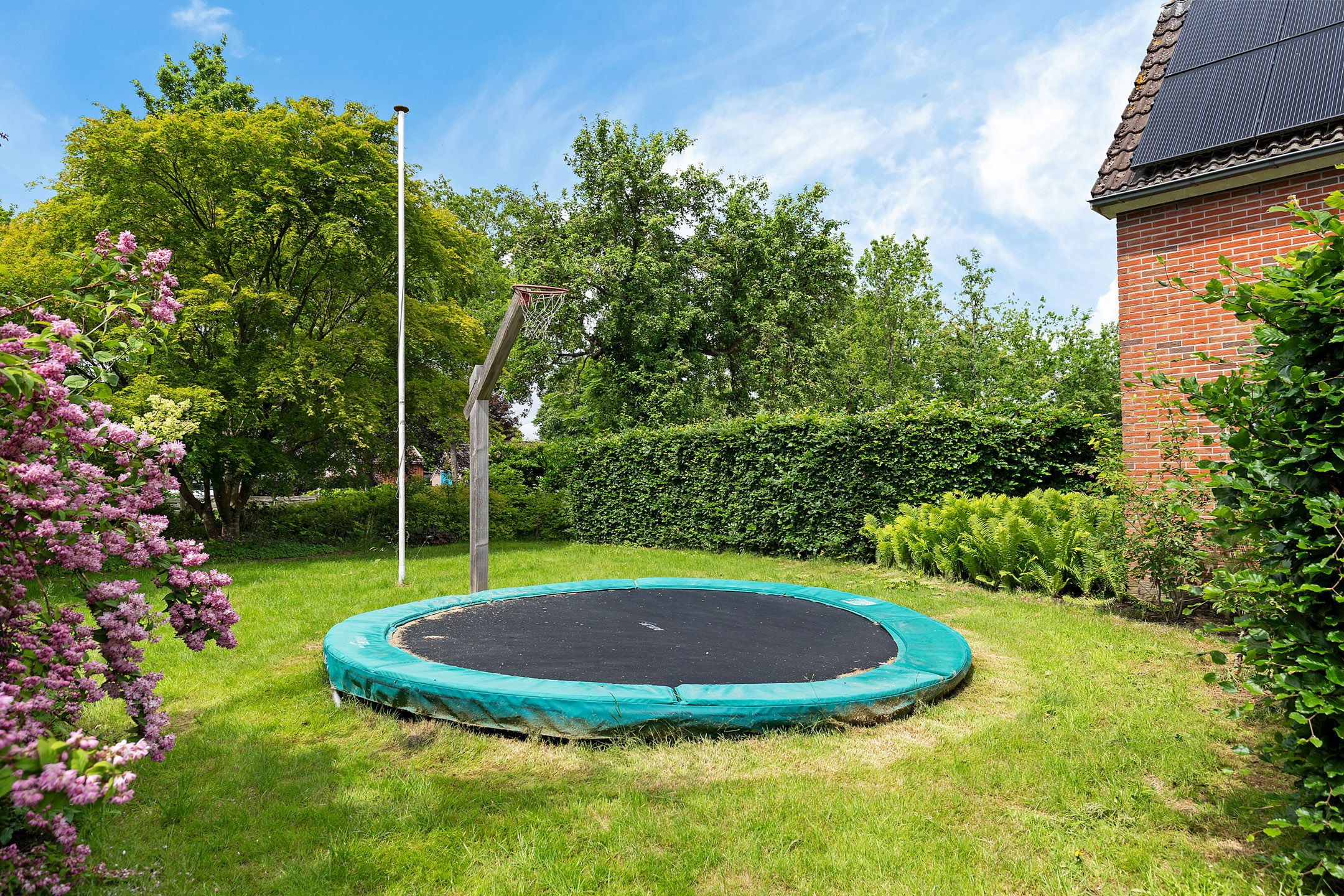 Photo 48 of Oelenboom 7