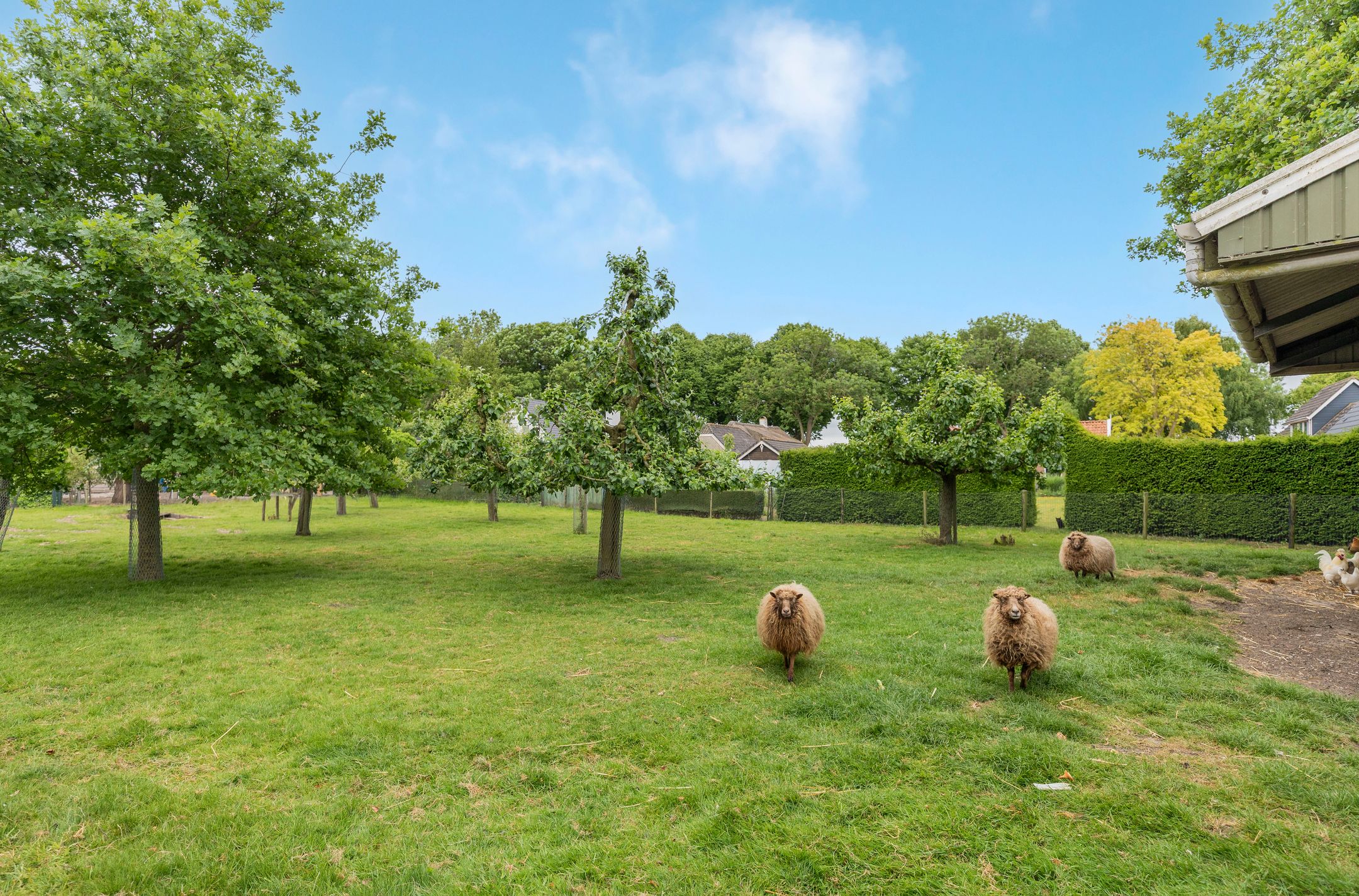 Foto 33 van Schaweg 8