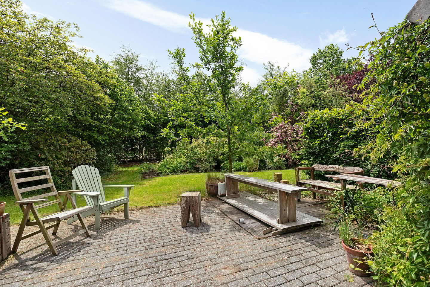 Photo 49 of Oelenboom 7