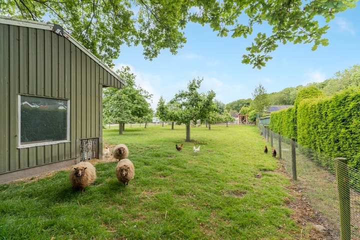 Foto 34 van Schaweg 8