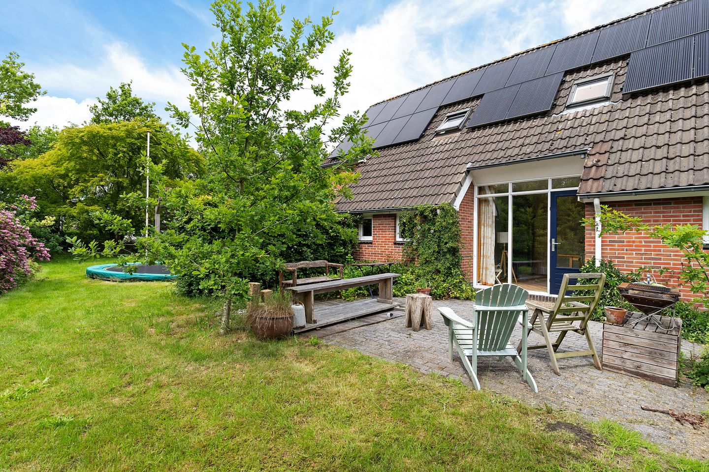 Photo 50 of Oelenboom 7