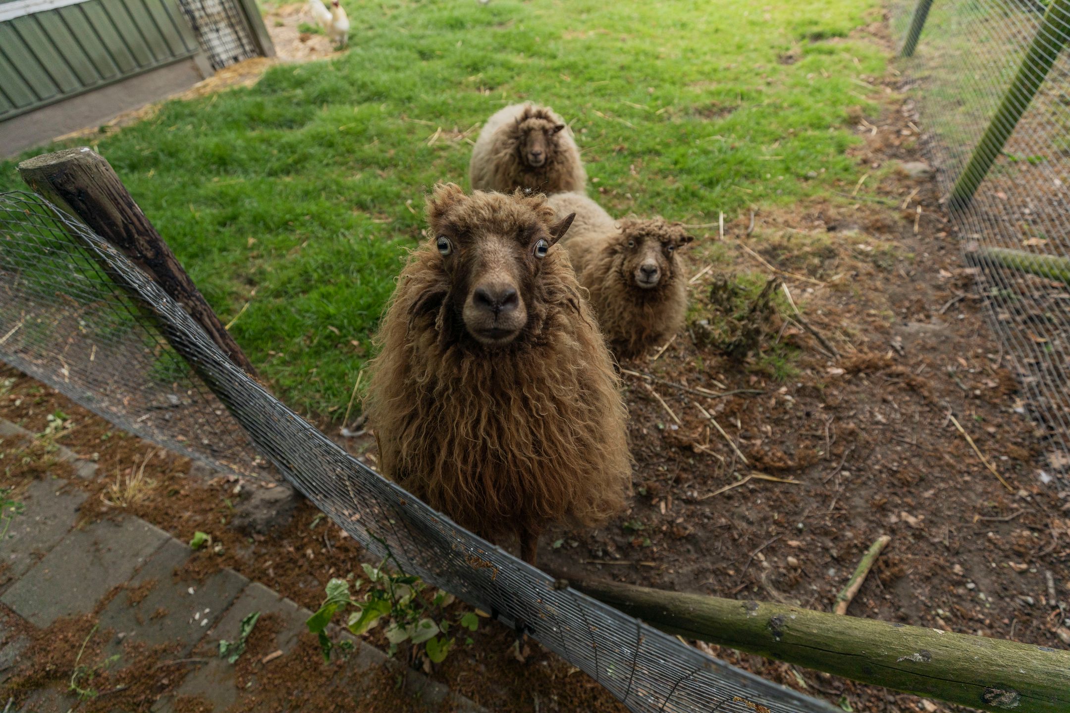 Foto 36 van Schaweg 8