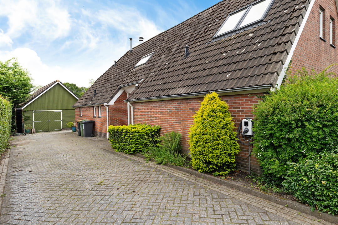 Photo 53 of Oelenboom 7