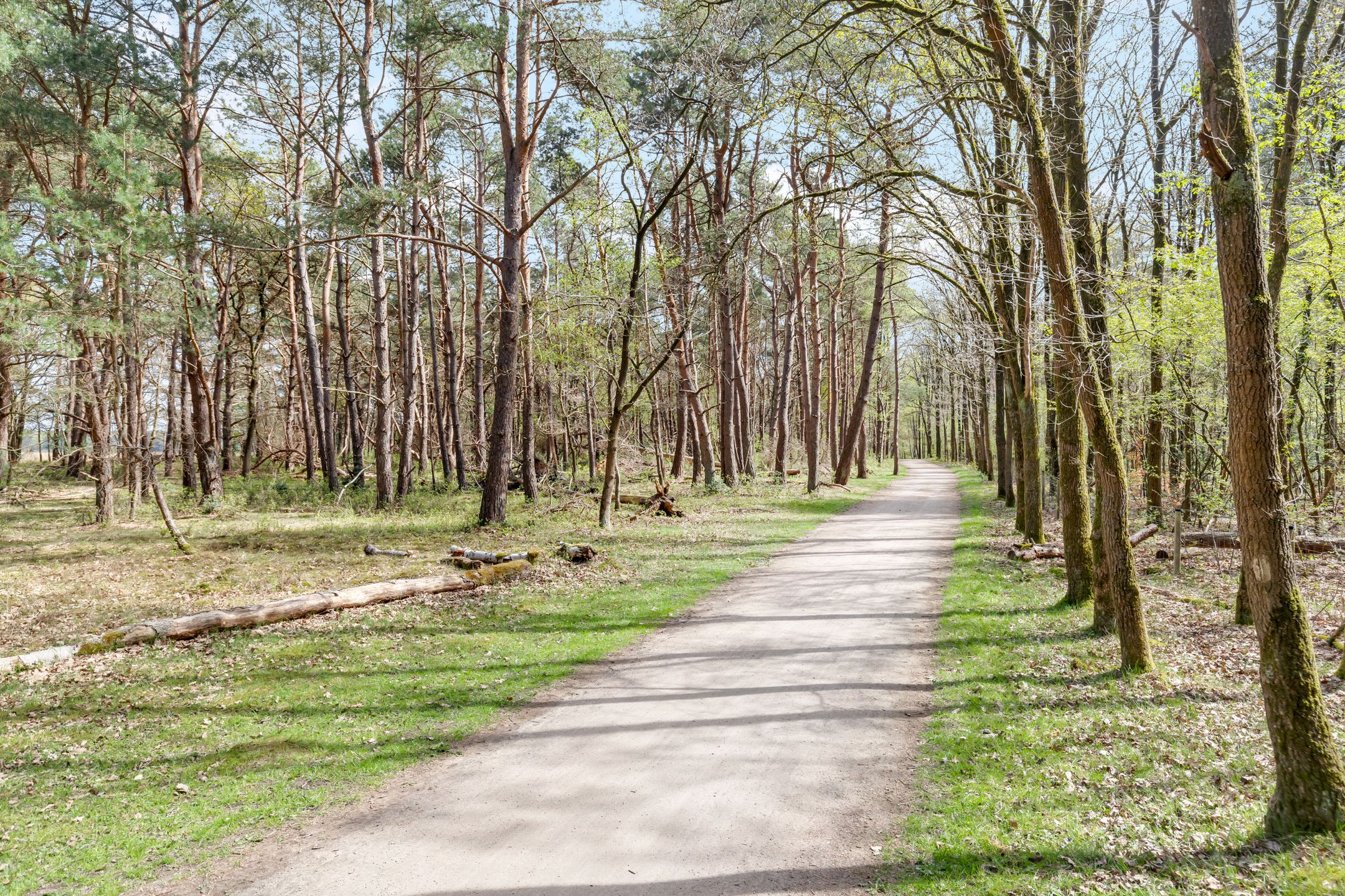 Photo 30 of Van Nijenrodestraat 32