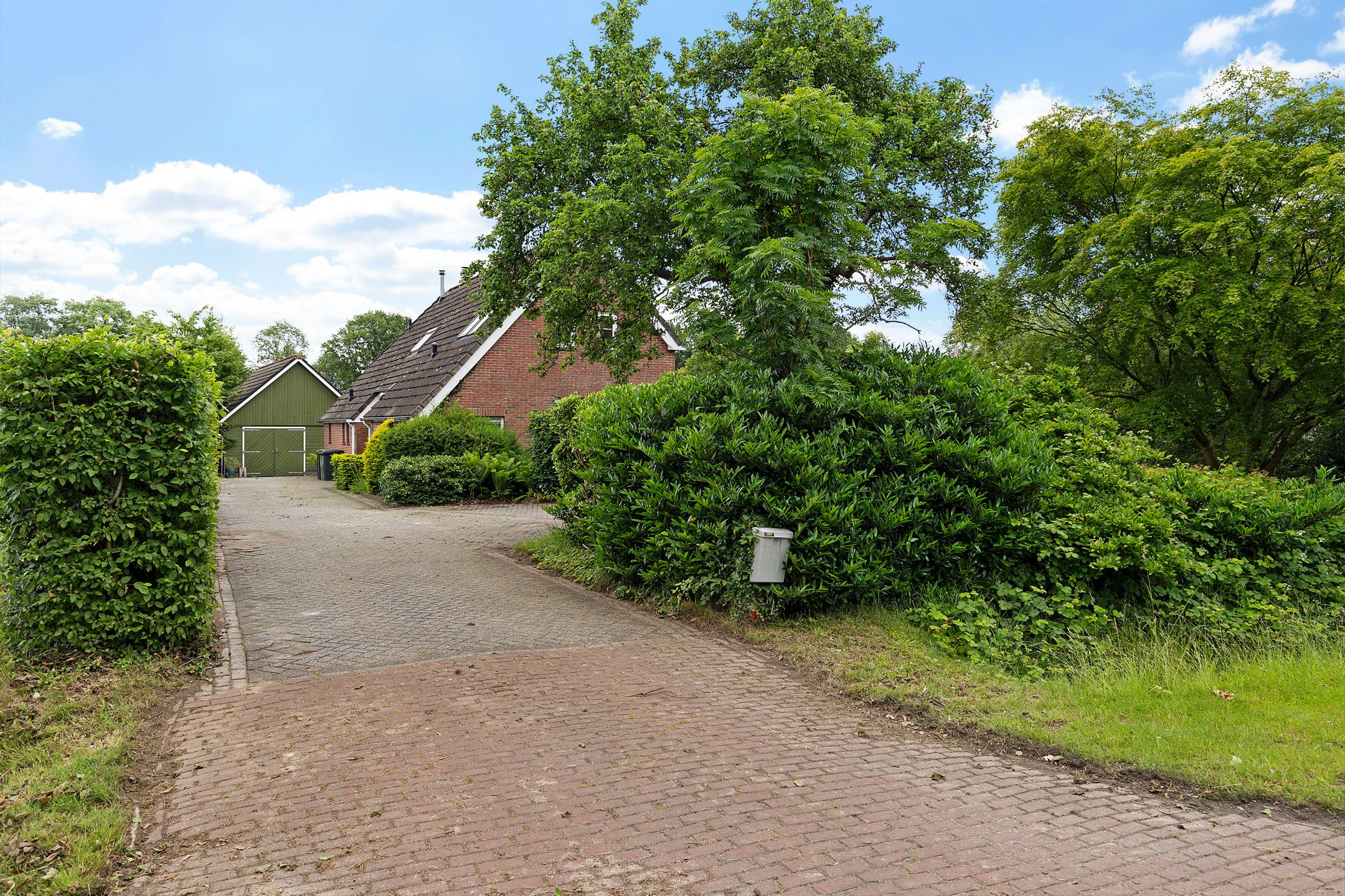 Photo 54 of Oelenboom 7