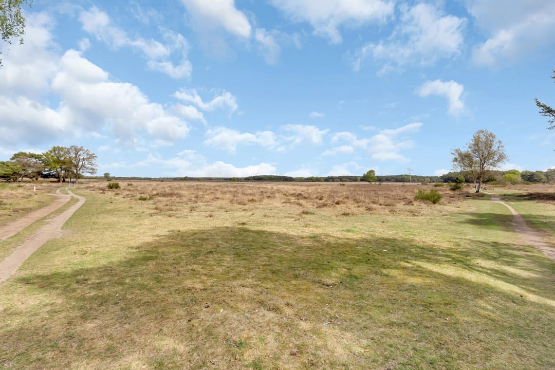 Photo 32 of Van Nijenrodestraat 32