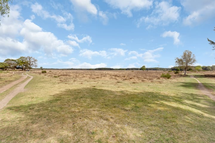 Foto 32 van Van Nijenrodestraat 32