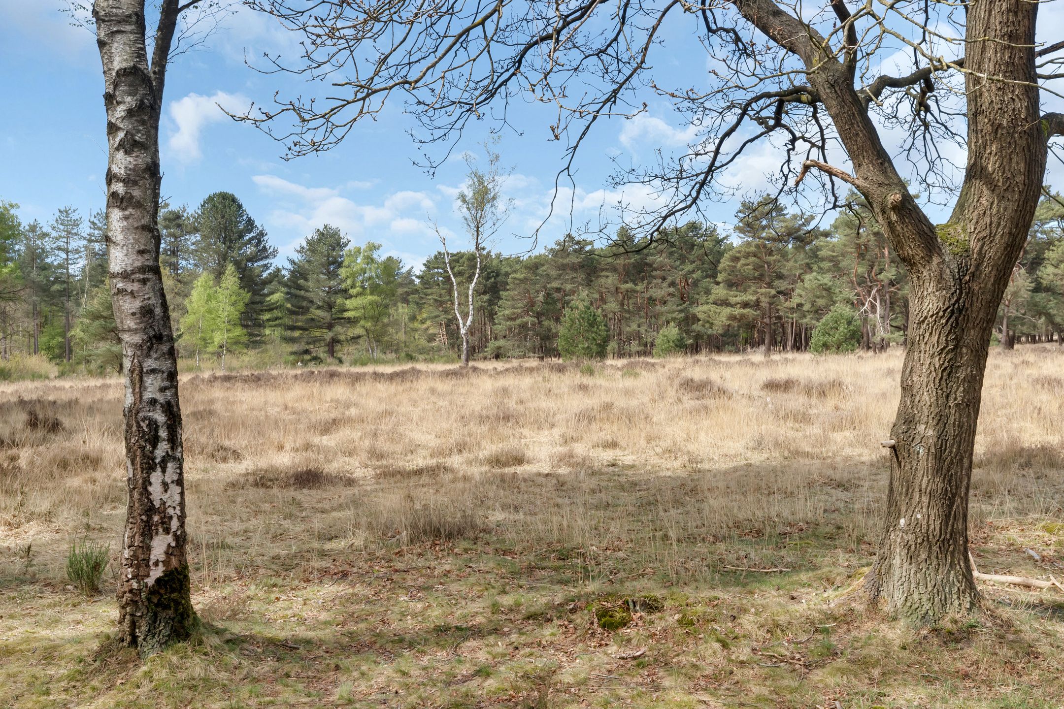 Photo 33 of Van Nijenrodestraat 32