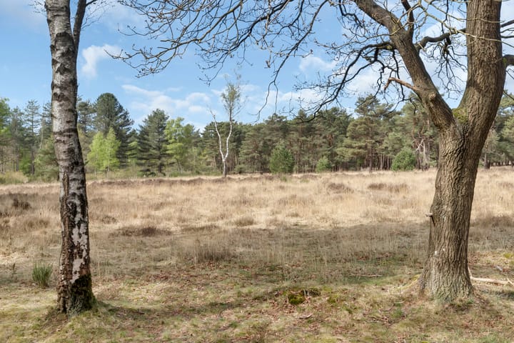 Foto 33 van Van Nijenrodestraat 32