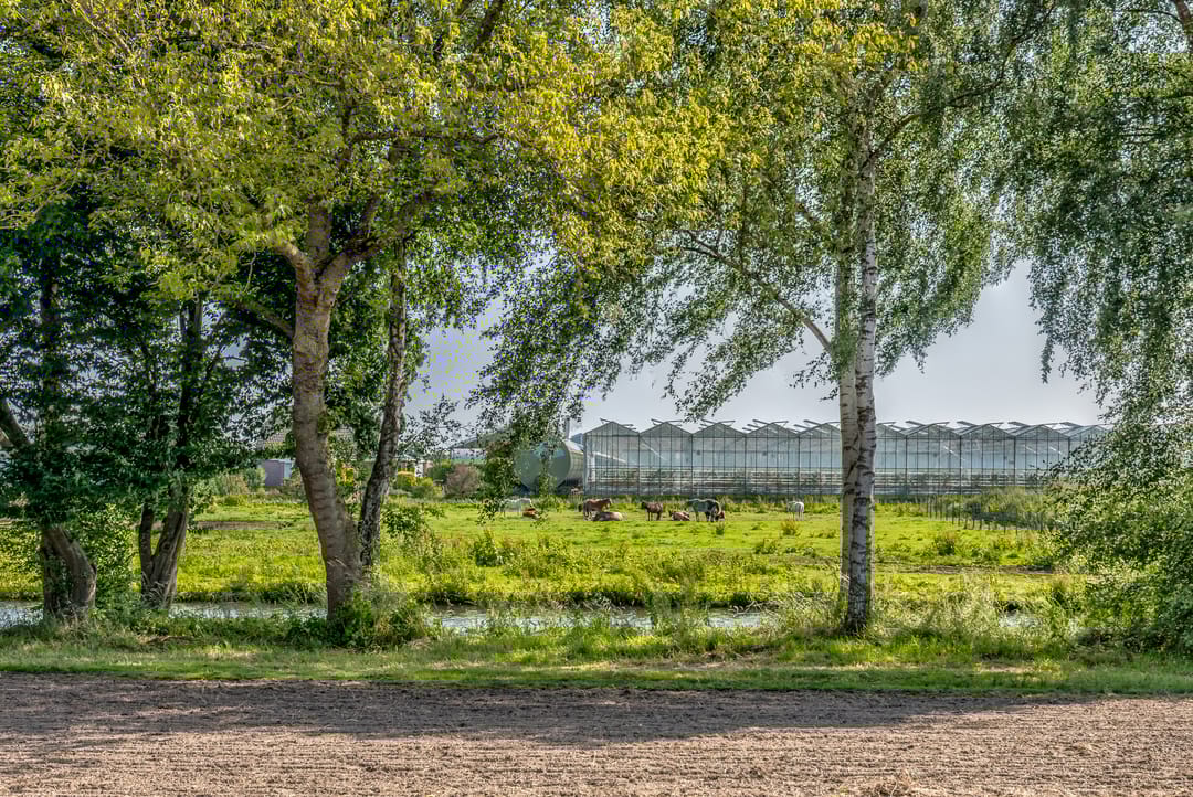 Foto 11 van Aristotelestuin 8