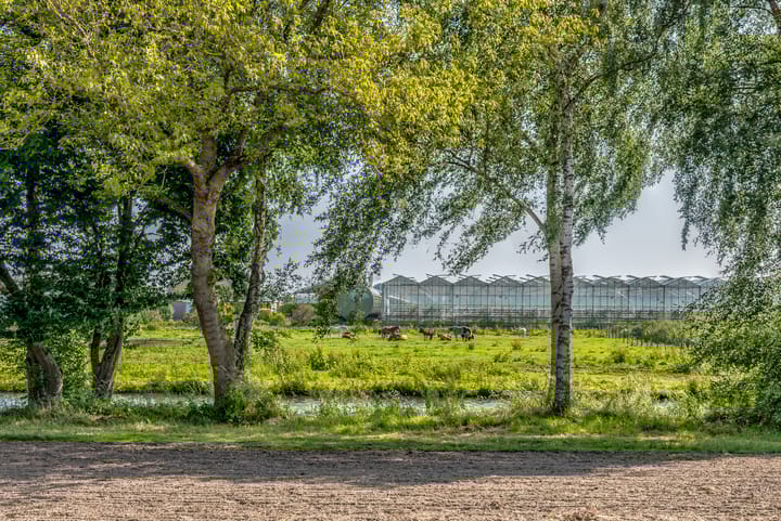 Foto 11 van Aristotelestuin 8