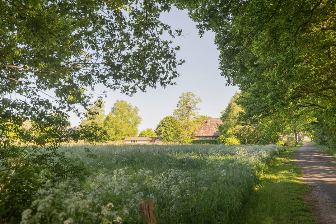 Foto 2 van Hogestraat 3