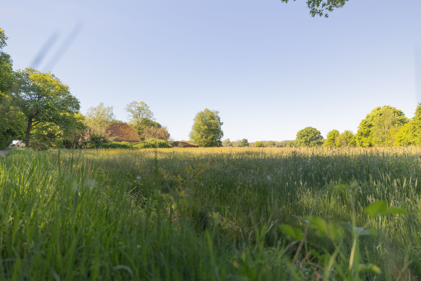 Foto 4 van Hogestraat 3