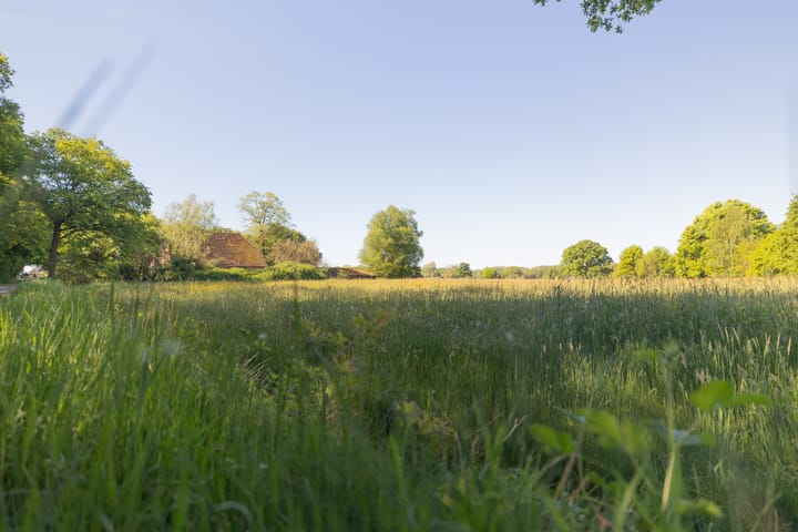 Foto 4 van Hogestraat 3