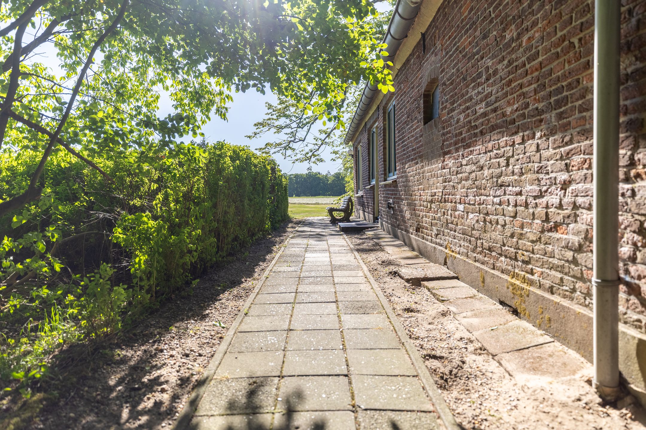 Foto 6 van Hogestraat 3