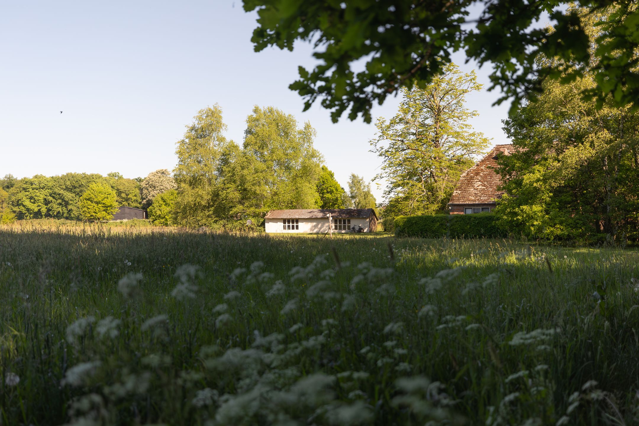 Foto 12 van Hogestraat 3