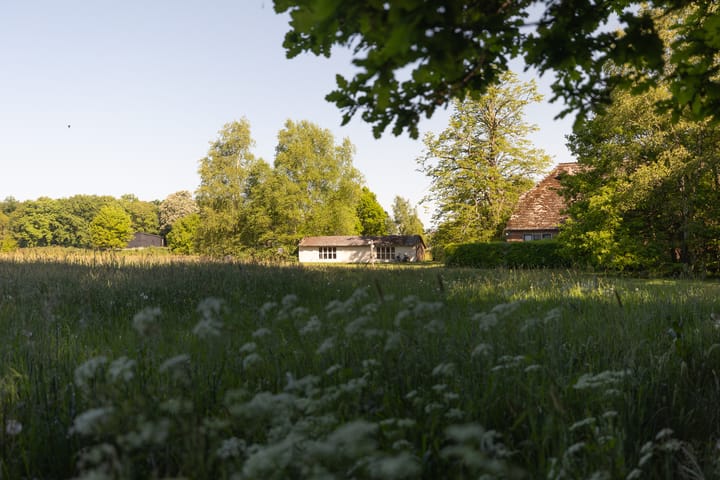 Photo 12 of Hogestraat 3